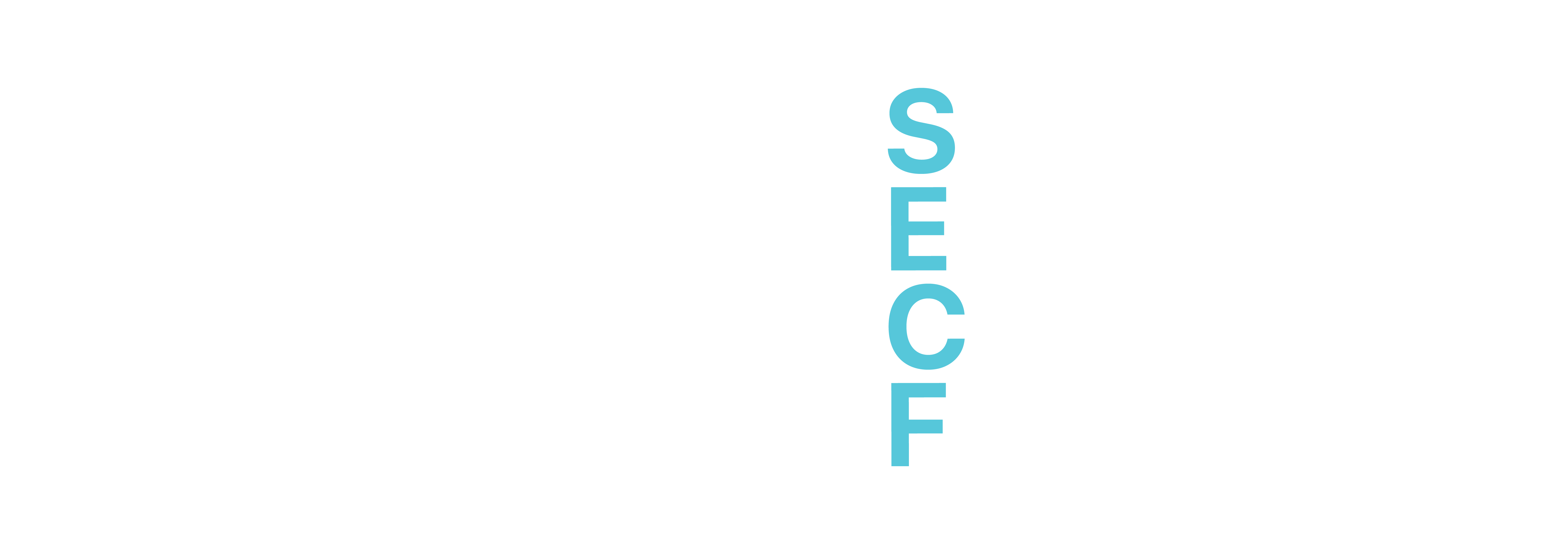 SECF Logo 2